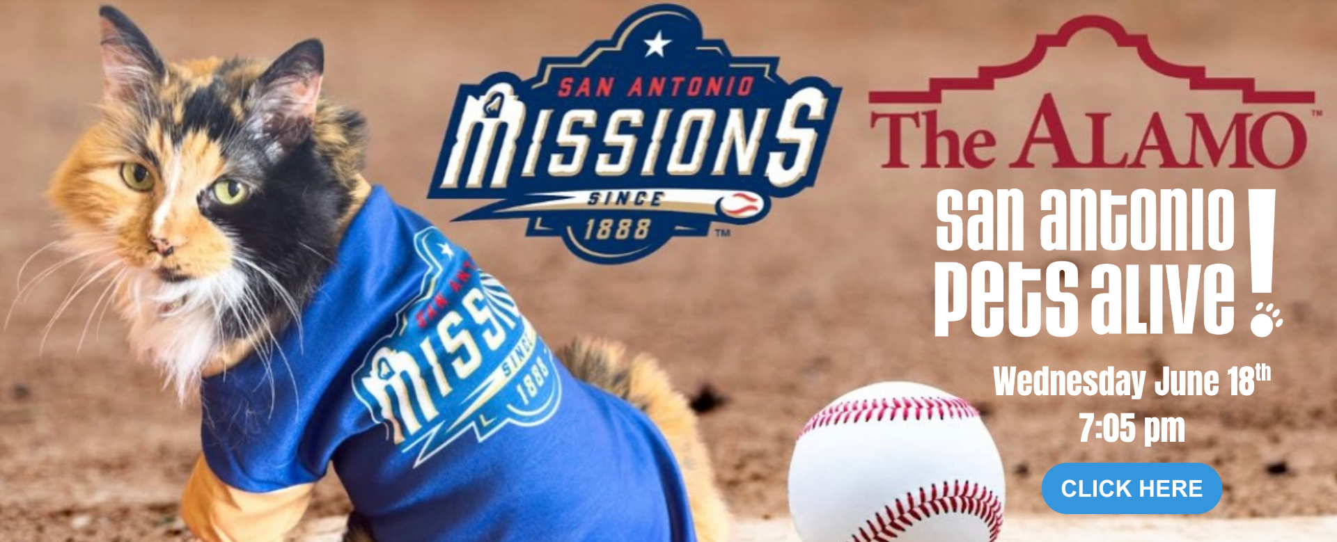 Take Meowout to the Ball Game